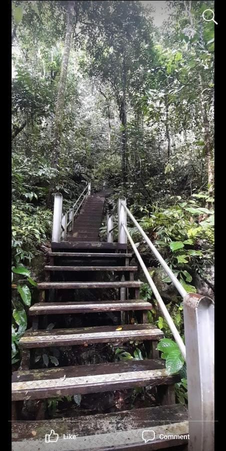 Mulu Homestay Екстер'єр фото